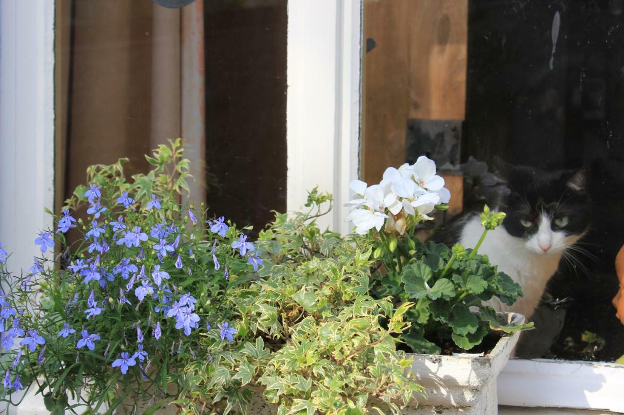 La Passiflore B&B Bossiere Exterior photo