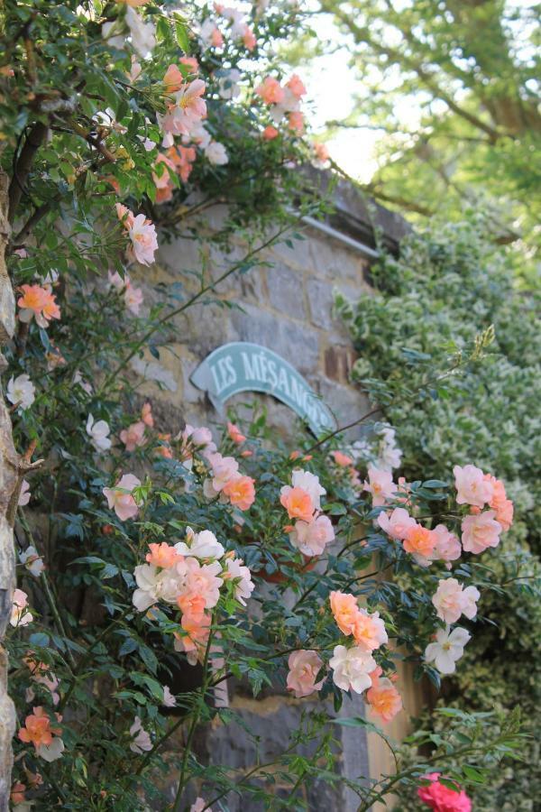 La Passiflore B&B Bossiere Exterior photo