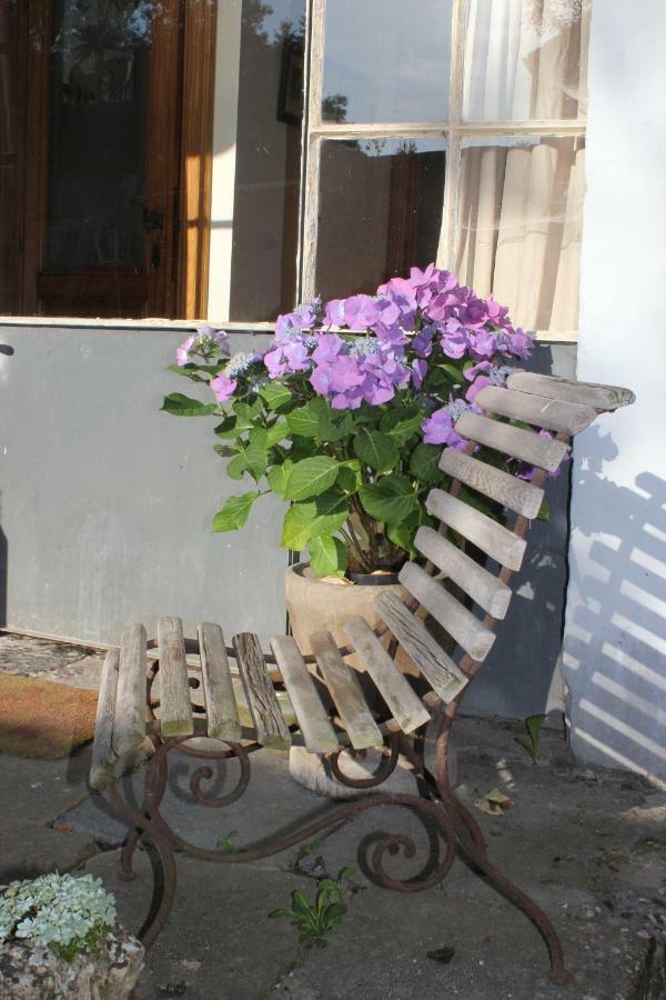 La Passiflore B&B Bossiere Exterior photo